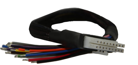 Replacement Wiring Loom for Raptor CLUBMAN receiver